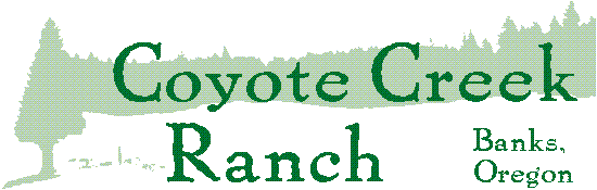 ccr.gif (4849 bytes)